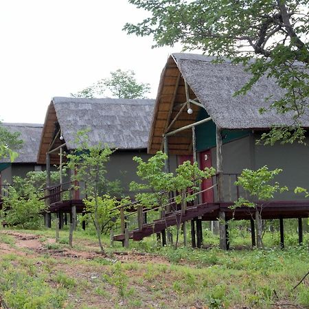 Lion Roars Lodge Lesoma Εξωτερικό φωτογραφία