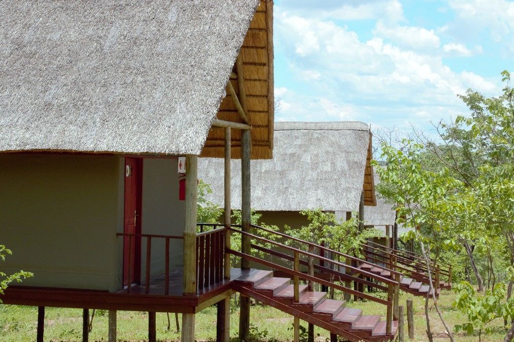 Lion Roars Lodge Lesoma Εξωτερικό φωτογραφία