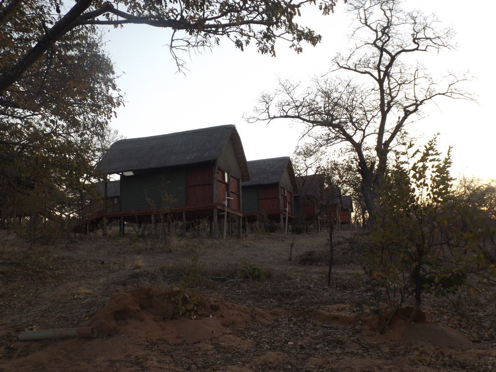 Lion Roars Lodge Lesoma Εξωτερικό φωτογραφία