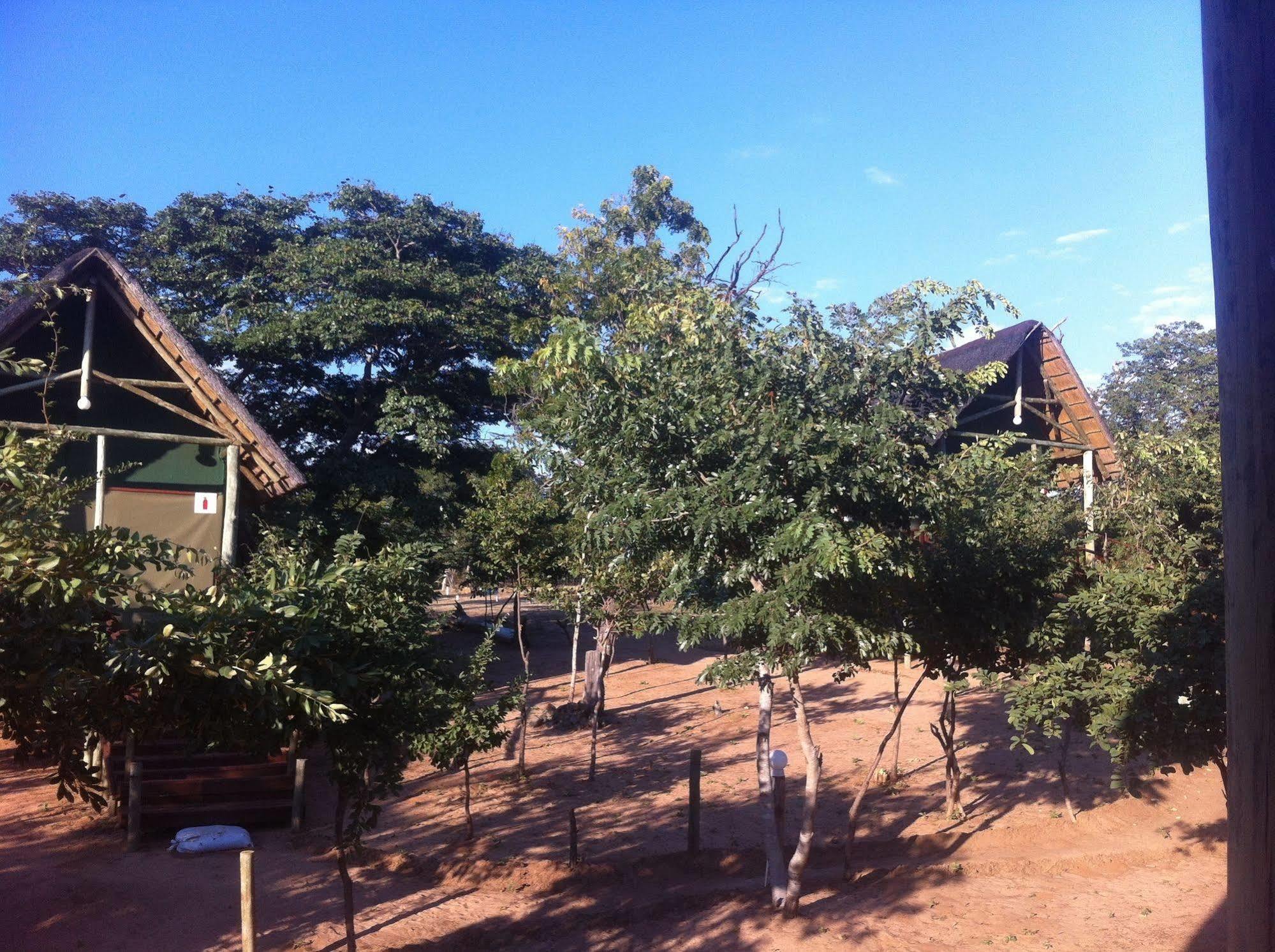 Lion Roars Lodge Lesoma Εξωτερικό φωτογραφία