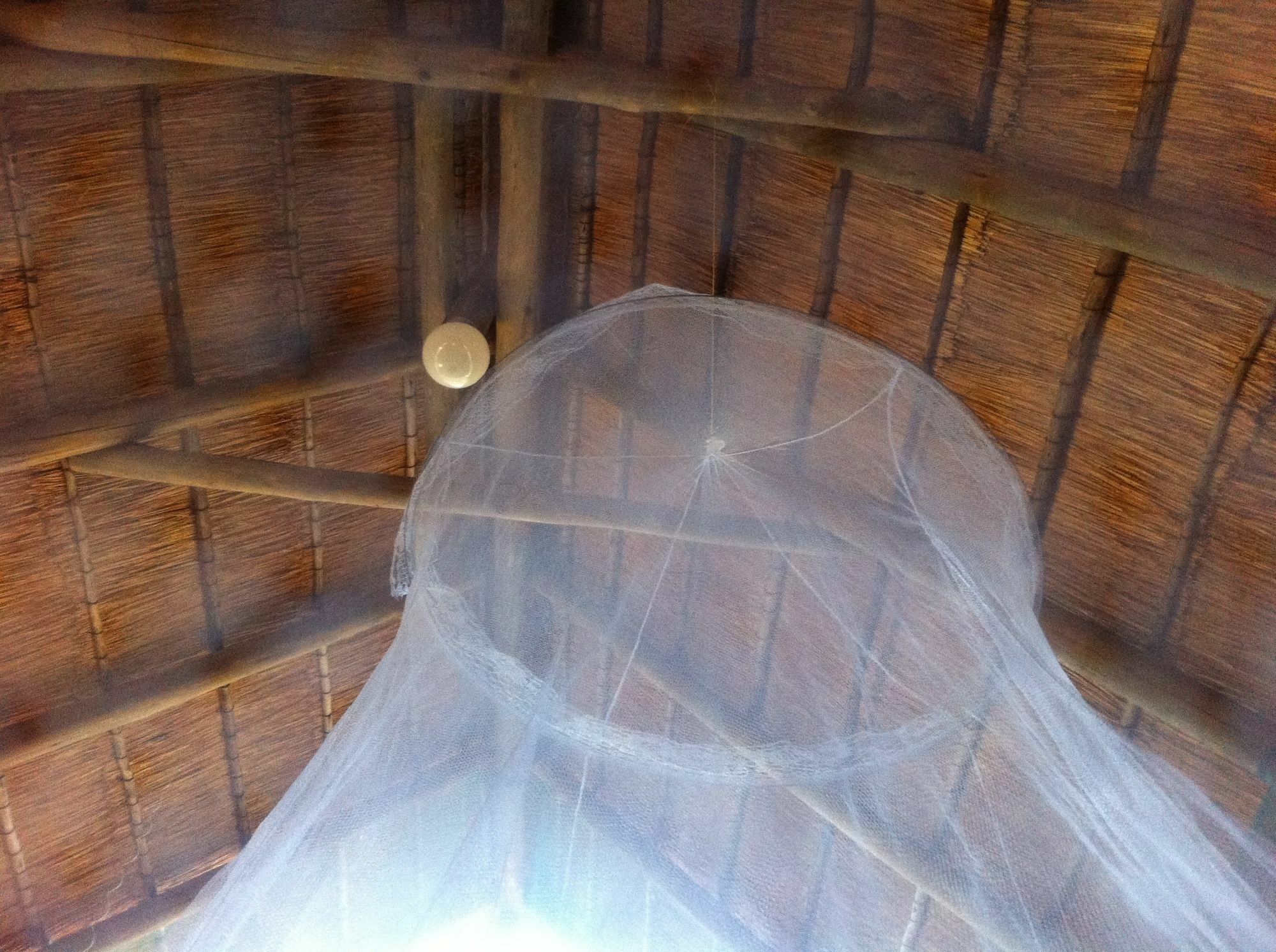 Lion Roars Lodge Lesoma Εξωτερικό φωτογραφία