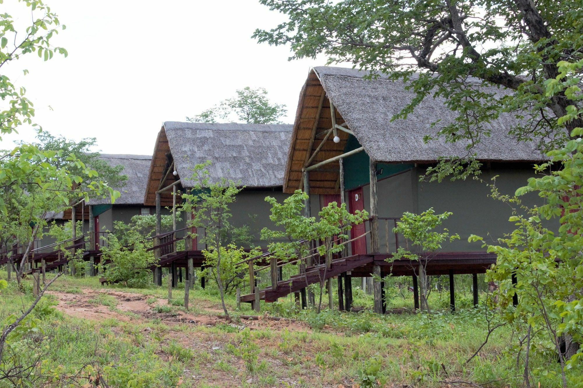 Lion Roars Lodge Lesoma Εξωτερικό φωτογραφία